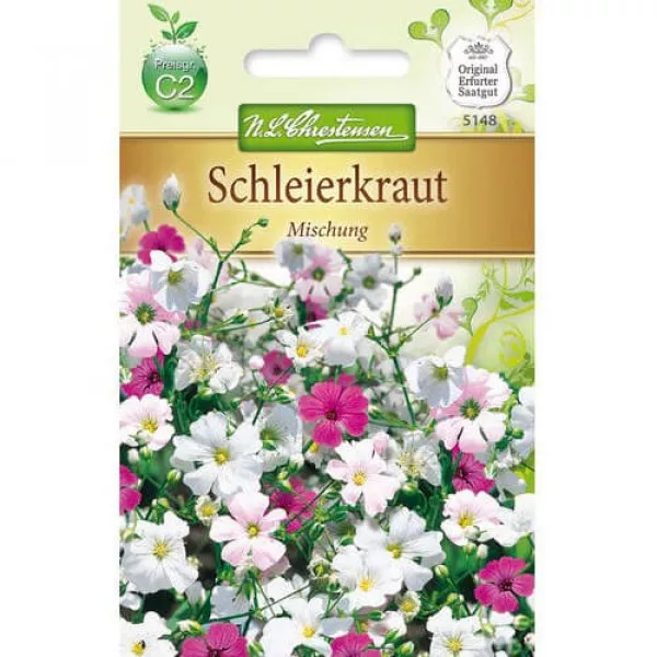 Fátyolvirág (Gypsophila) színkeverék