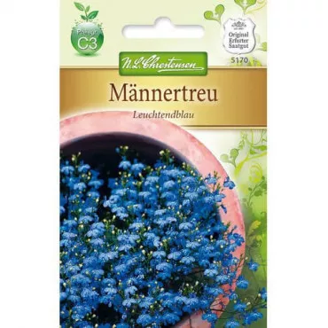 Lobélia Bright Blue