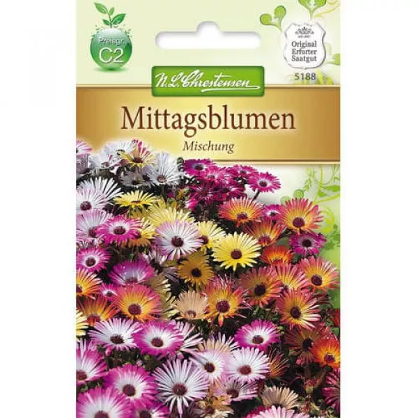 Kristályvirág (Delosperma) színkeverék