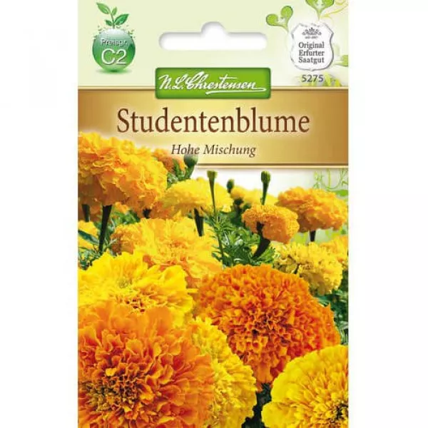Hohe Büdöske színkeverék