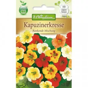 Sarkantyúvirág színkeverék