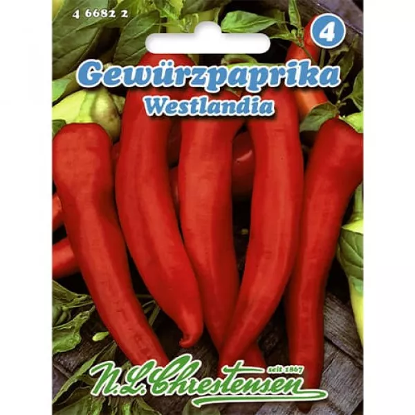 Paprika сsípős Westlandia