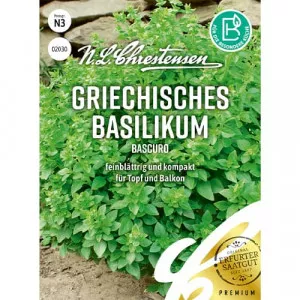 Bazsalikom Bascuro