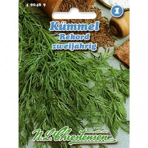 Kömény Rekord, kétnyári