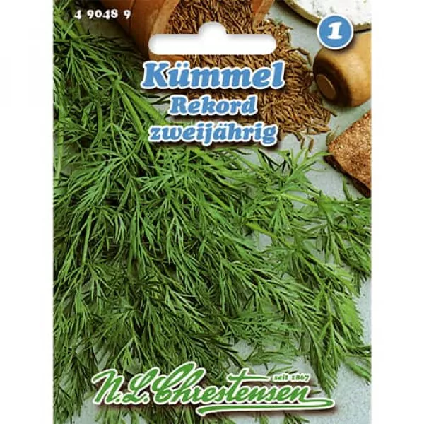 Kömény Rekord, kétnyári