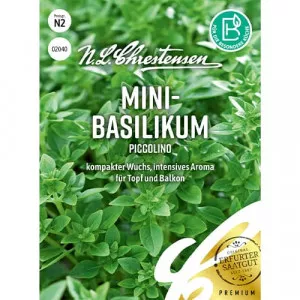 Bazsalikom törpe Piccolino