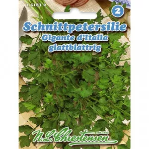 Petrezselyem levél Gigante d'Italia