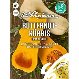 Tök Orange Nut F1