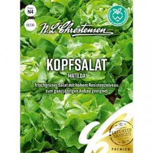 Saláta zöld Matilda