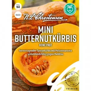 Tök Honeynut