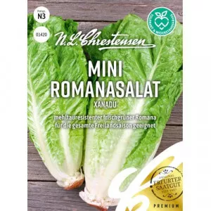 Saláta római Xanadu