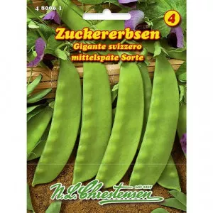 Zöldborsó Gigante Svizzero