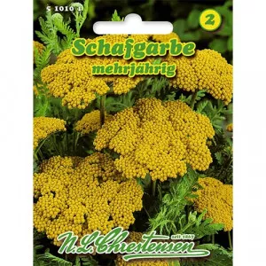 Yellow Cickafark