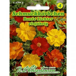 Bunte Lichter Kerti pillangóvirág