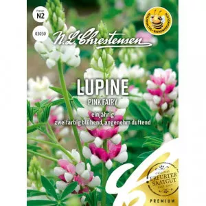 Lupin Pink Csillagfürt