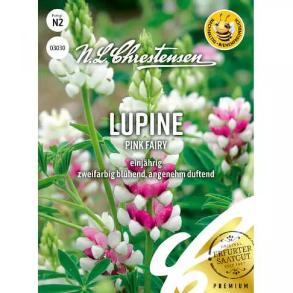 Lupin Pink Csillagfürt