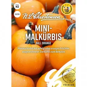 Ball Orange Dísztök