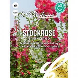 Antwerp Hollyhock Mályvarózsa 