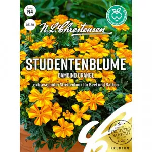 Bambino Orange Büdöske