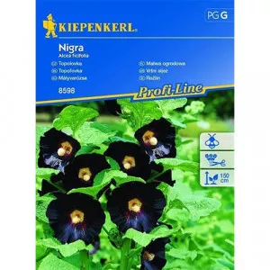 Nigra Kerti Mályvarózsa 