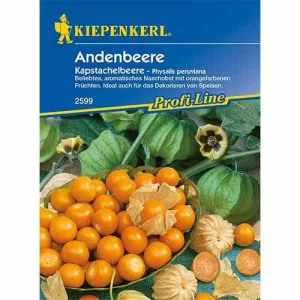 Földicseresznye