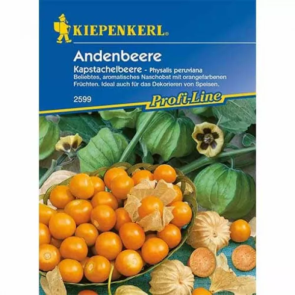 Földicseresznye