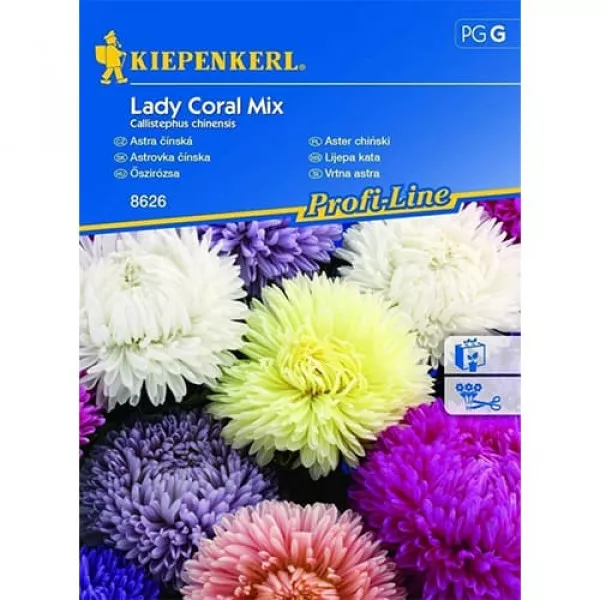 Lady Coral Kerti őszirózsa színkeverék
