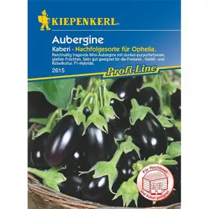 Padlizsán Kaberi F1