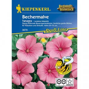 Tanagra Rosa Mályvarózsa