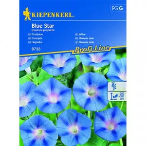 Blue Star Hajnalka