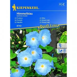 Blue Sky Hajnalka