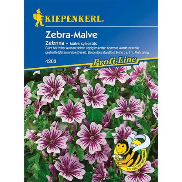 Zebrina Mályvarózsa