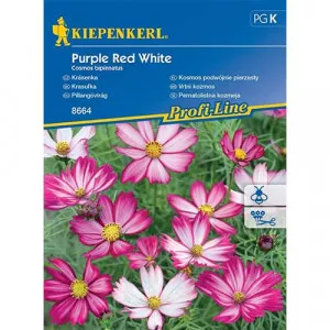 Kerti pillangóvirág Purple Red White