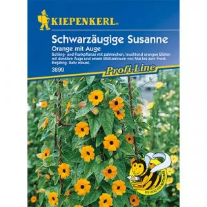 Susanne Orange Eye Feketeszem