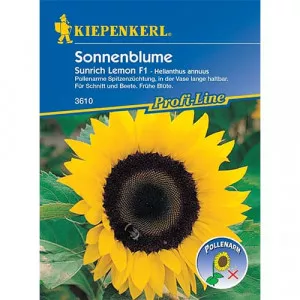 Sunrich Lemon F1 Napraforgó
