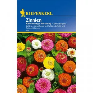 Törpe Rézvirág színkeverék
