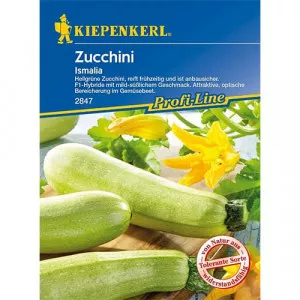 Cukkini Ismalia F1