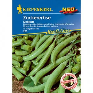 Cukorborsó Delikata
