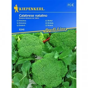 Brokkoli Calabrese natalino