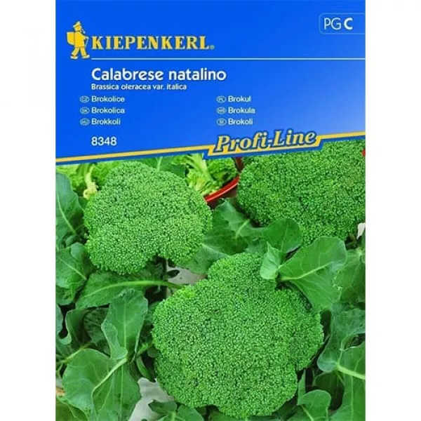 Brokkoli Calabrese natalino