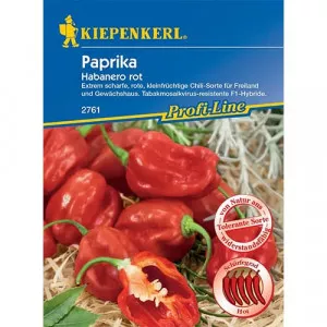 Csípős paprika Habanero Red