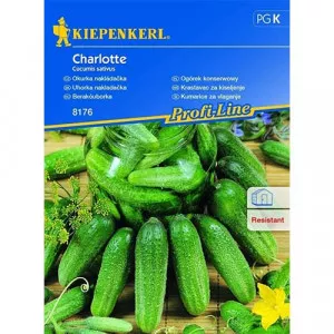 Uborka Charlotte F1