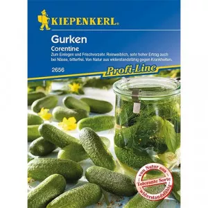 Uborka Corentine F1