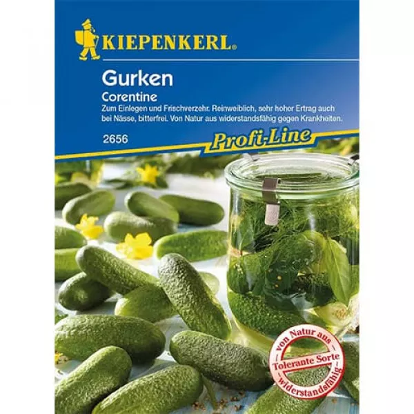 Uborka Corentine F1