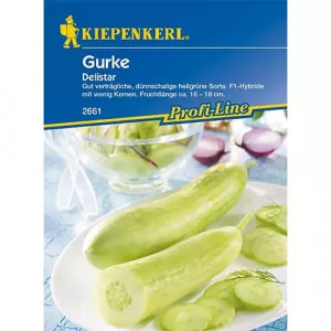 Uborka Delistar F1