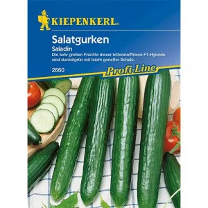Uborka Saladin
