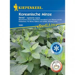 Menta Koreaí Seoul