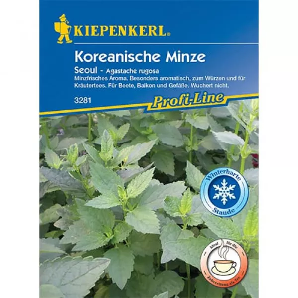 Menta Koreaí Seoul