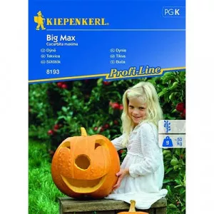 Tök Big Max