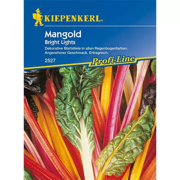 Mangold Bright Lights